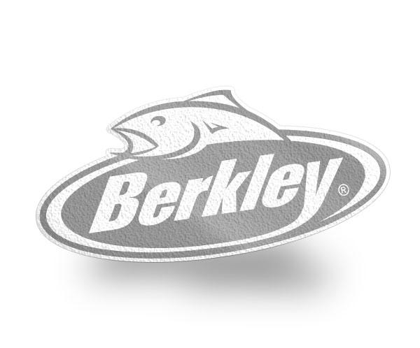 Berkley Carpet Graphic