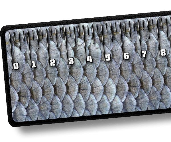 Ruler - Fish Scales
