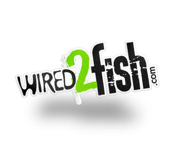 Wired2Fish Carpet Graphic